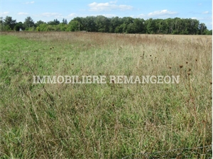 terrain à la vente -   41600  CHAUMONT SUR THARONNE, surface 1000 m2 vente terrain - UBI424487854